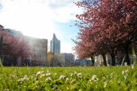 Frühling in Leipzig